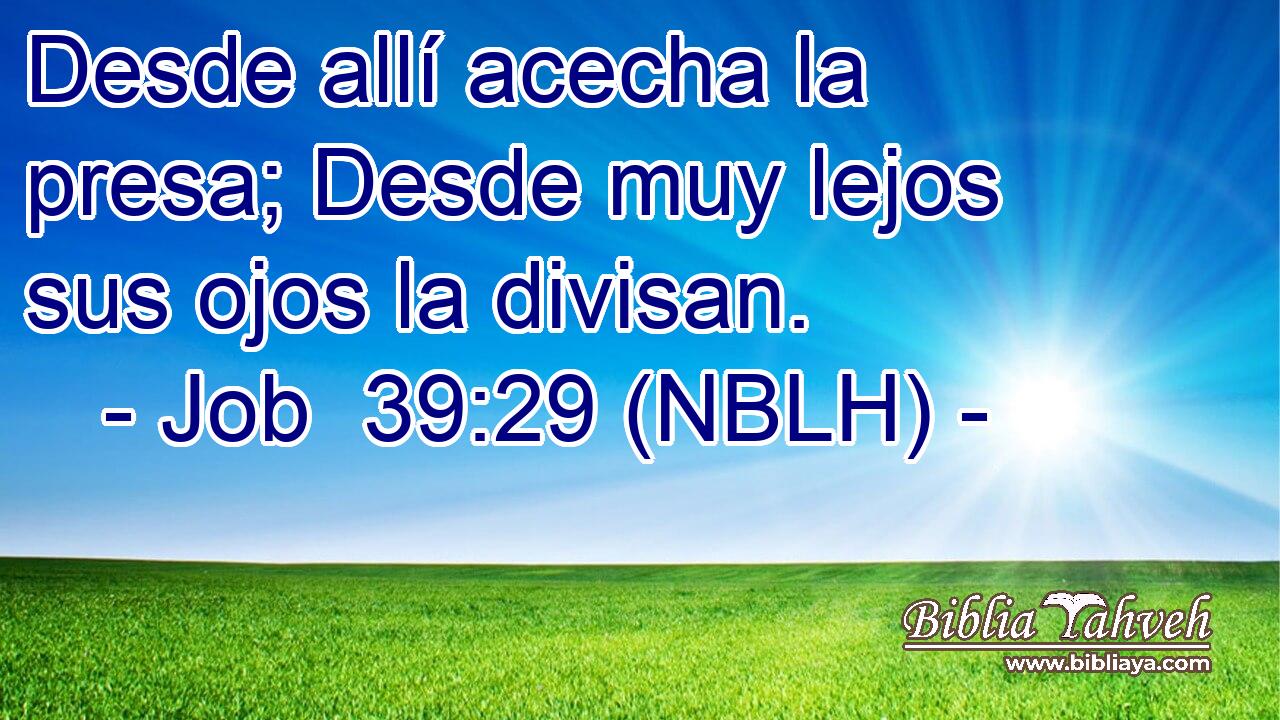  Desde allí acecha la presa; Desde muy lejos sus ojos la divisan. 