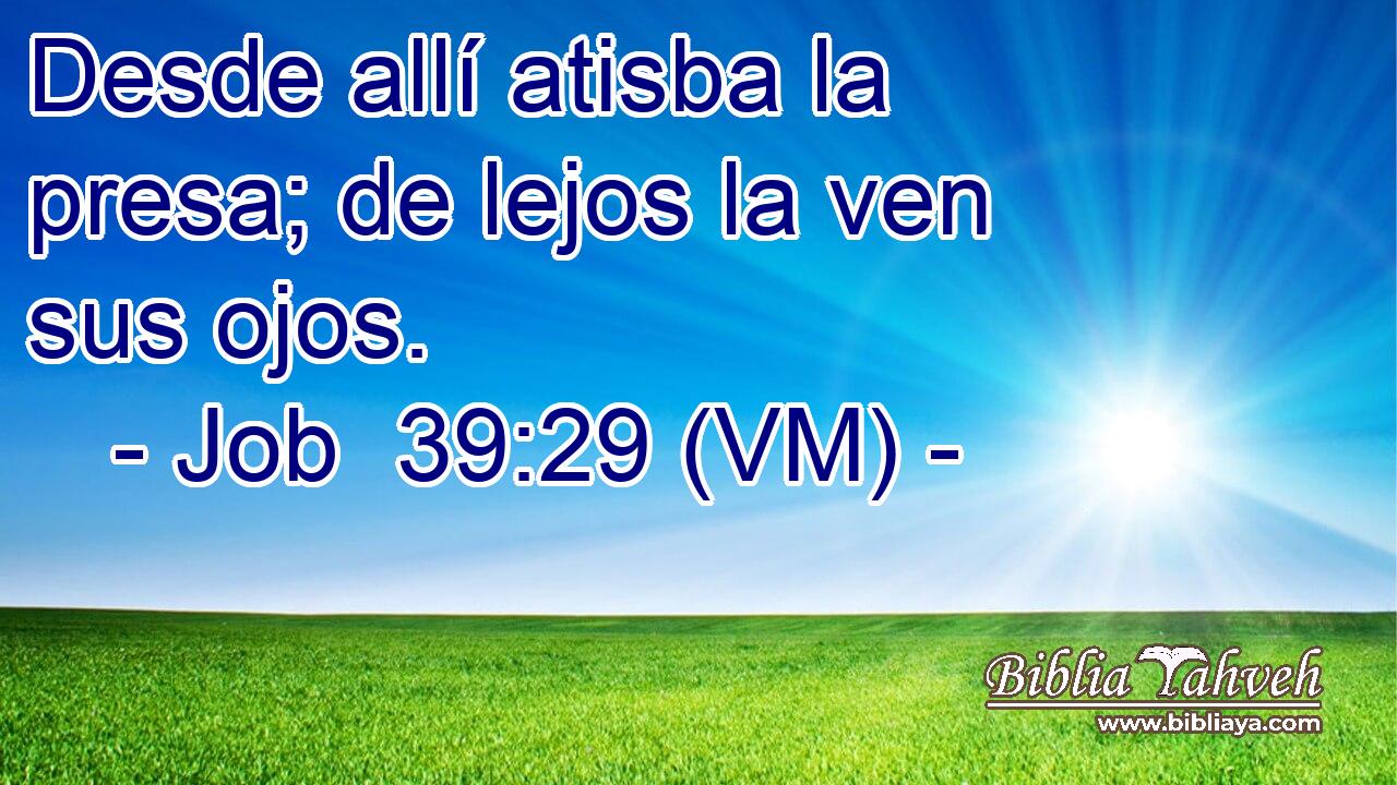  Desde allí atisba la presa; de lejos la ven sus ojos. 
