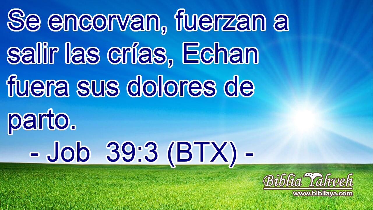 Se encorvan, fuerzan a salir las crías, Echan fuera sus dolores de parto.
