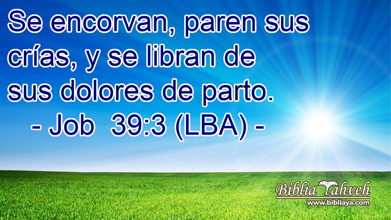 Se encorvan, paren sus crías, y se libran de sus dolores de parto.