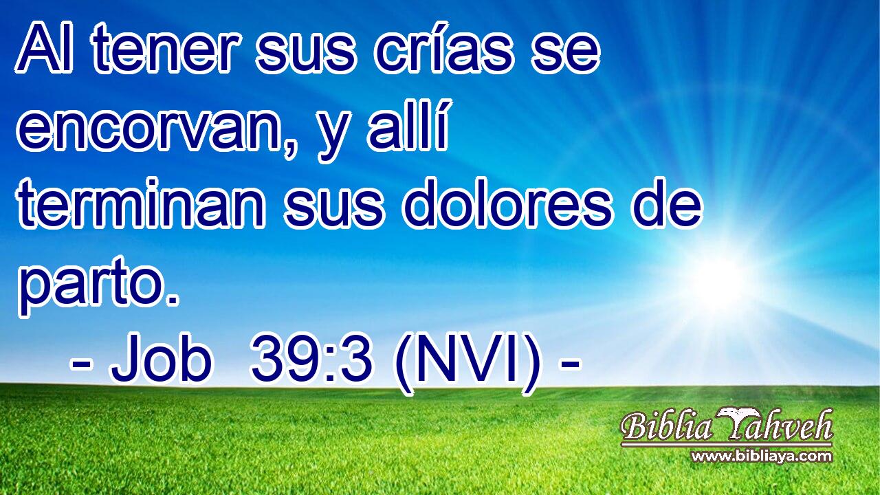  Al tener sus crías se encorvan, y allí terminan sus dolores de parto. 