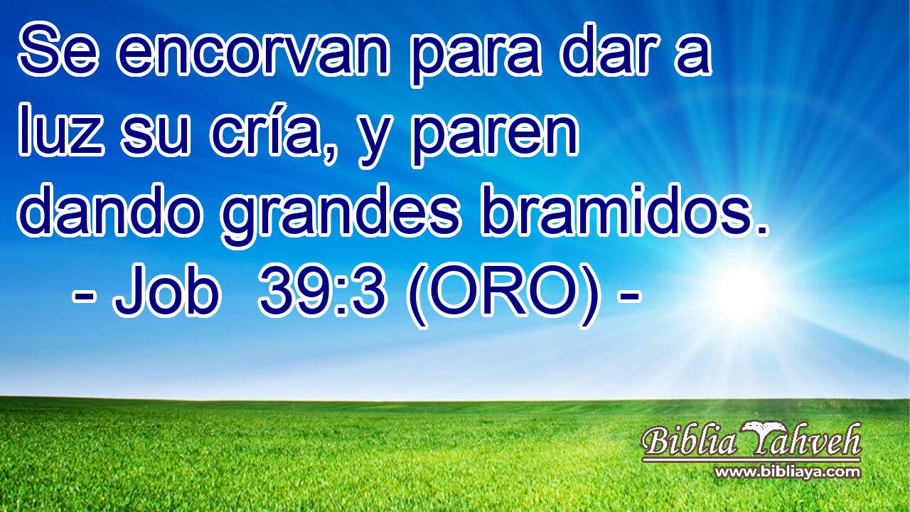  Se encorvan para dar a luz su cría, y paren dando grandes bramidos. 