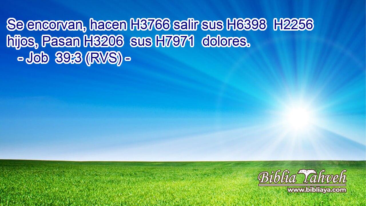 Se encorvan, hacen H3766 salir sus H6398  H2256 hijos, Pasan H3206  sus H7971  dolores. 