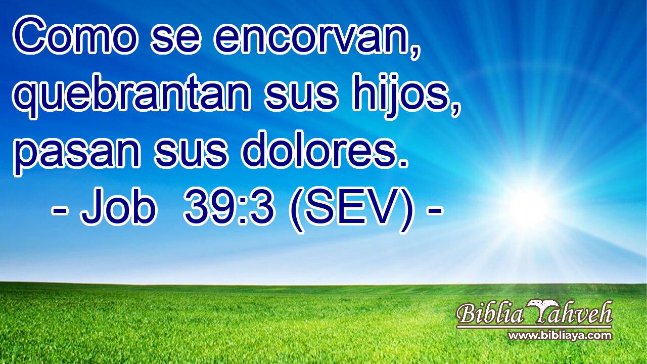 Como se encorvan, quebrantan sus hijos, pasan sus dolores.