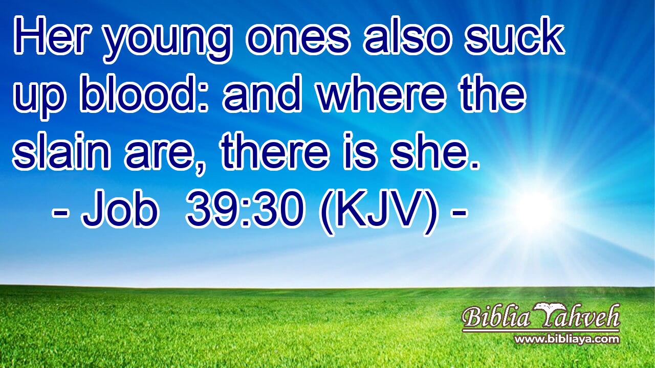 Her young ones also suck up blood: and where the slain are, there is she.