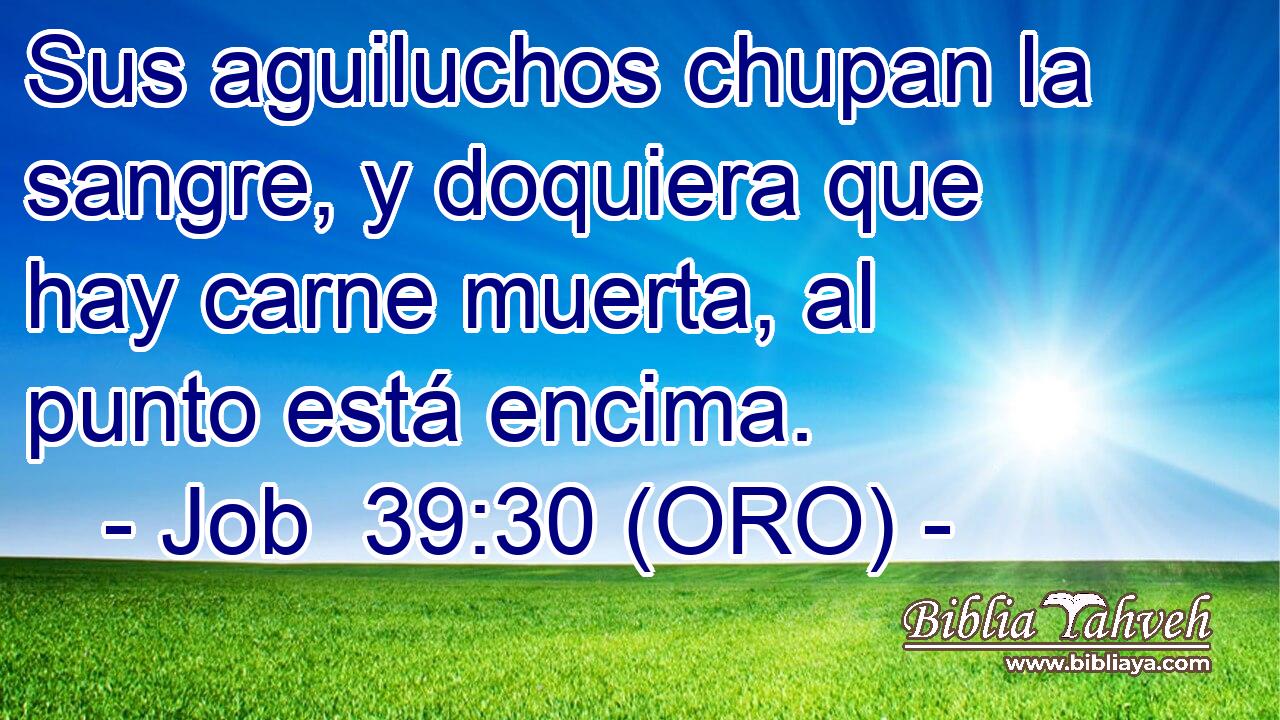  Sus aguiluchos chupan la sangre, y doquiera que hay carne muerta, al punto está encima. 