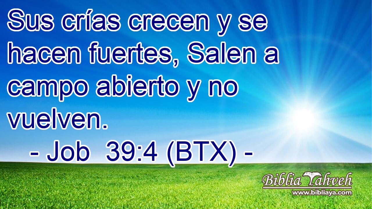 Sus crías crecen y se hacen fuertes, Salen a campo abierto y no vuelven.