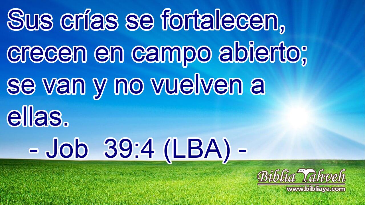 Sus crías se fortalecen, crecen en campo abierto; se van y no vuelven a ellas.