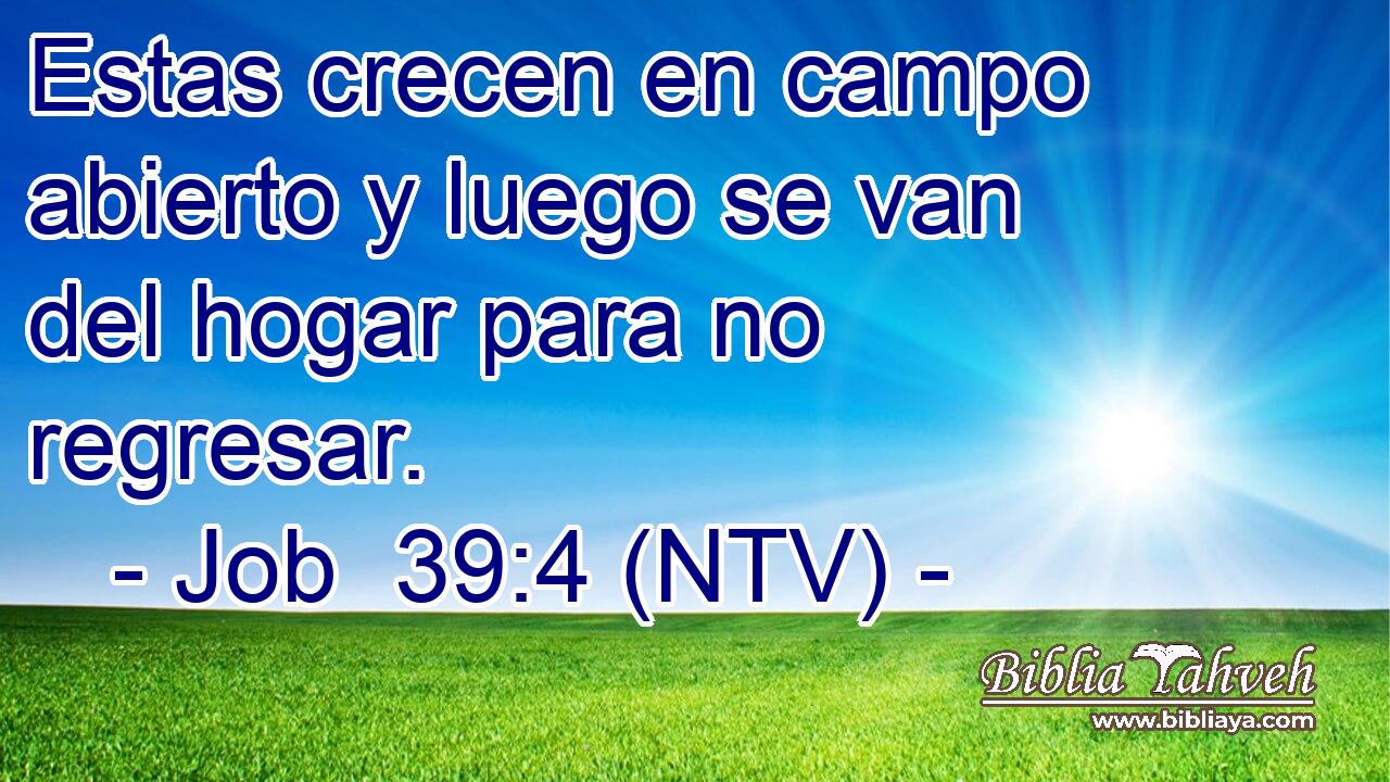 Estas crecen en campo abierto y luego se van del hogar para no regresar.