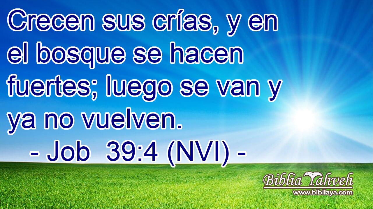  Crecen sus crías, y en el bosque se hacen fuertes; luego se van y ya no vuelven. 
