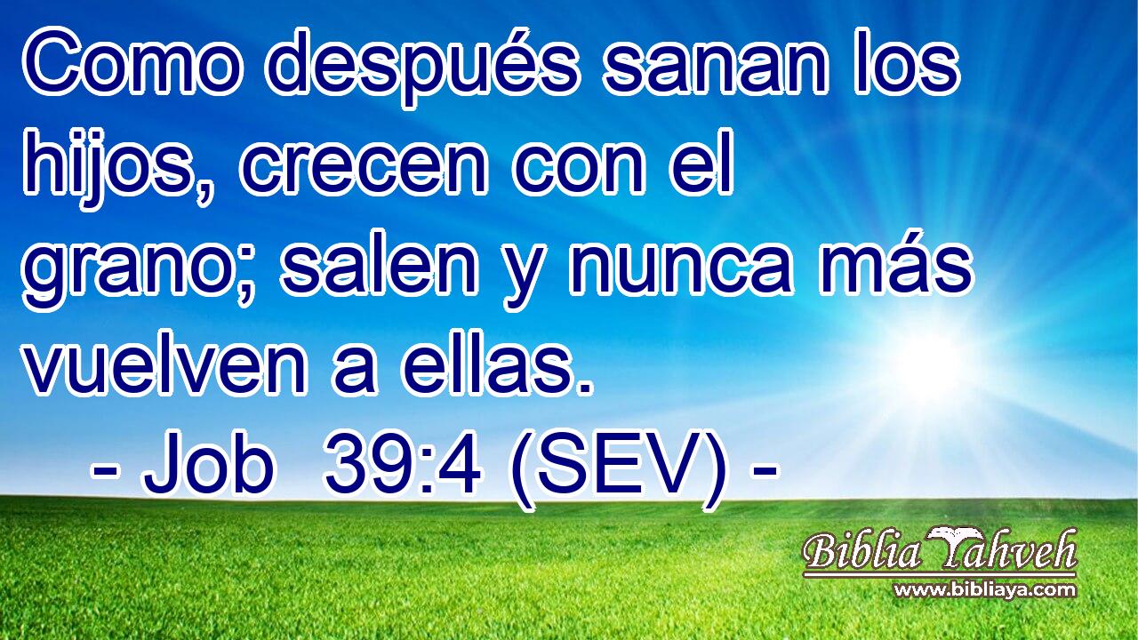 Como después sanan los hijos, crecen con el grano; salen y nunca más vuelven a ellas.