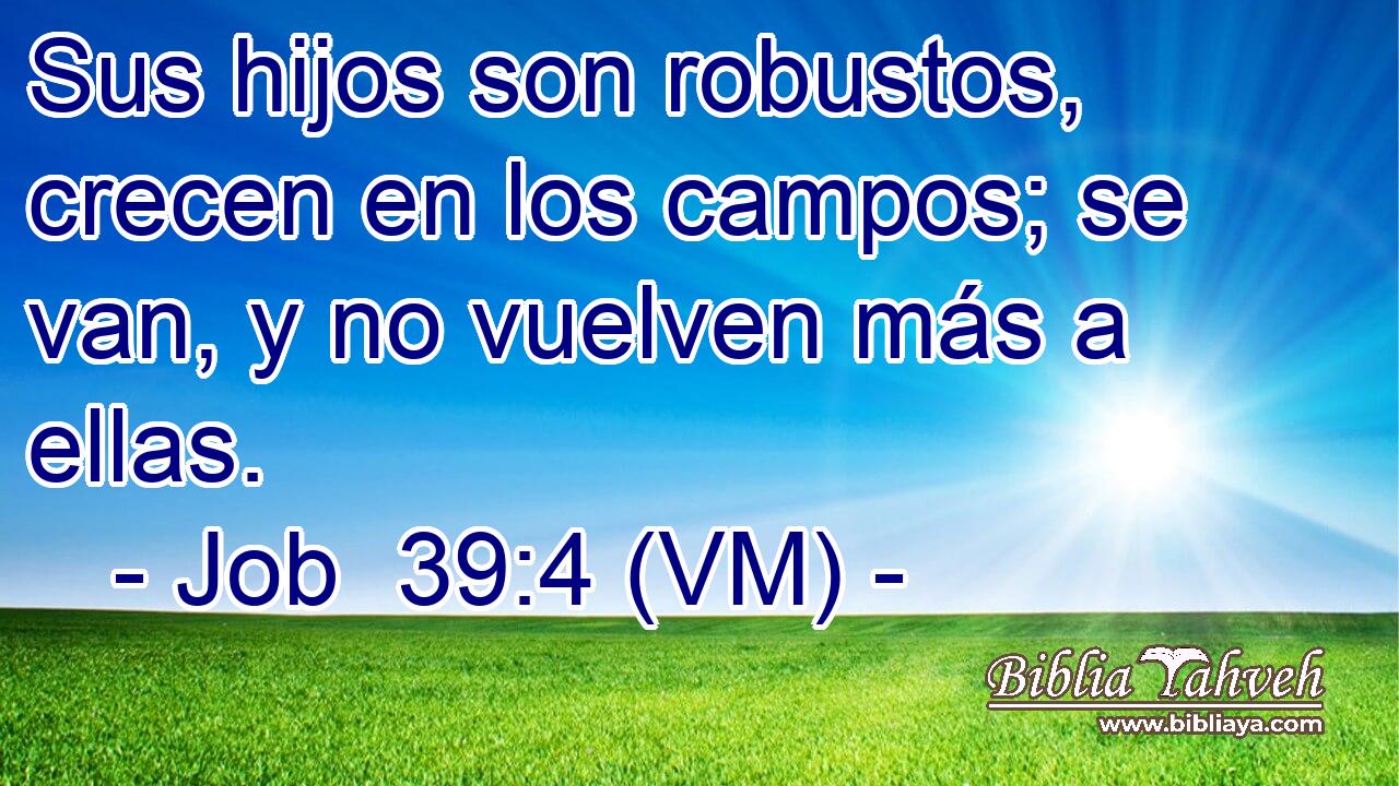  Sus hijos son robustos, crecen en los campos; se van, y no vuelven más a ellas. 