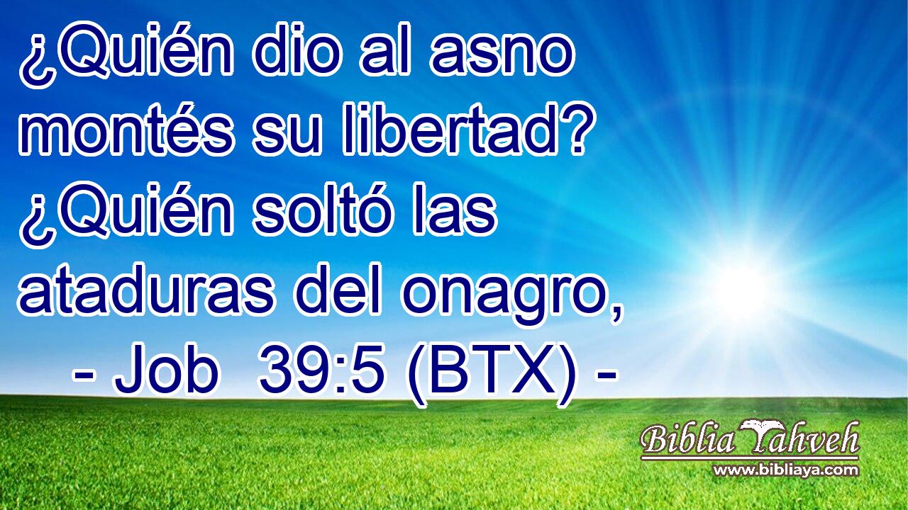 ¿Quién dio al asno montés su libertad? ¿Quién soltó las ataduras del onagro,