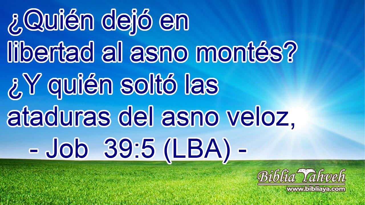¿Quién dejó en libertad al asno montés? ¿Y quién soltó las ataduras del asno veloz,