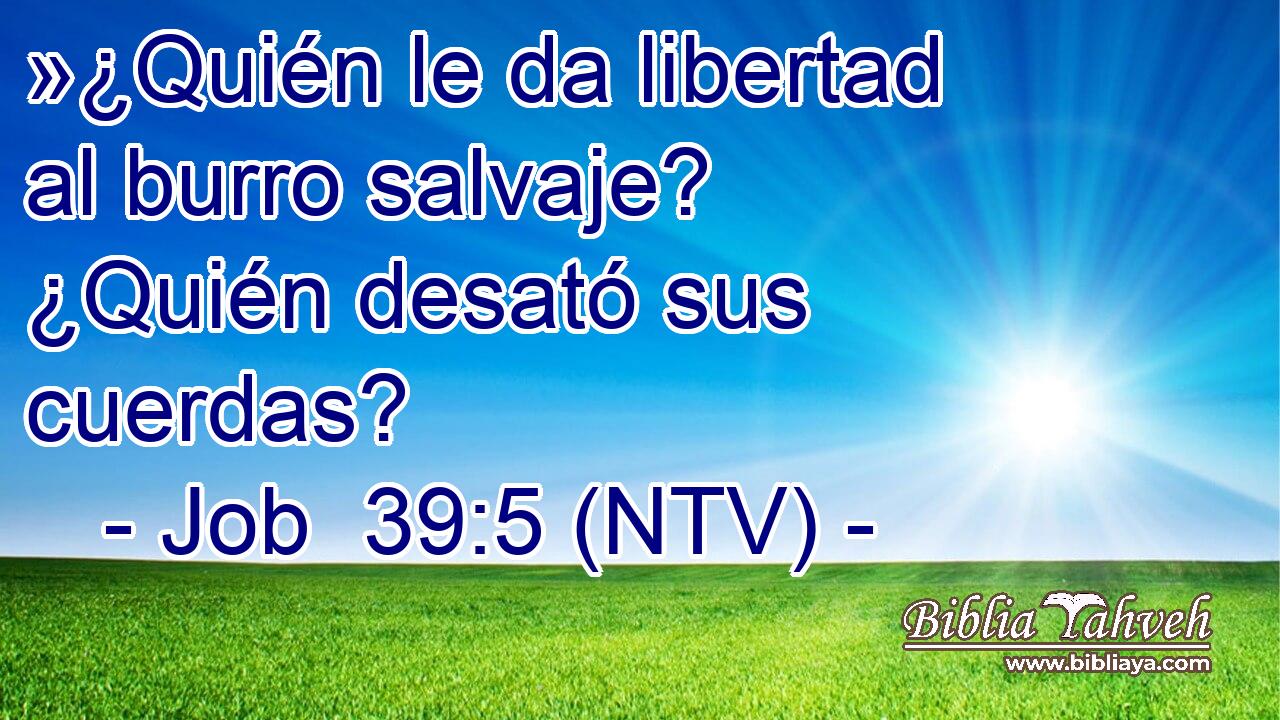 »¿Quién le da libertad al burro salvaje? ¿Quién desató sus cuerdas?