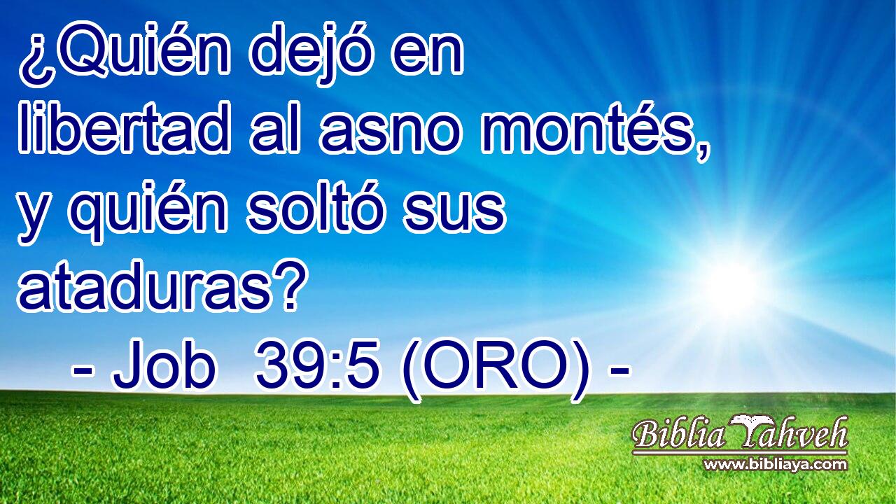 ¿Quién dejó en libertad al asno montés, y quién soltó sus ataduras? 