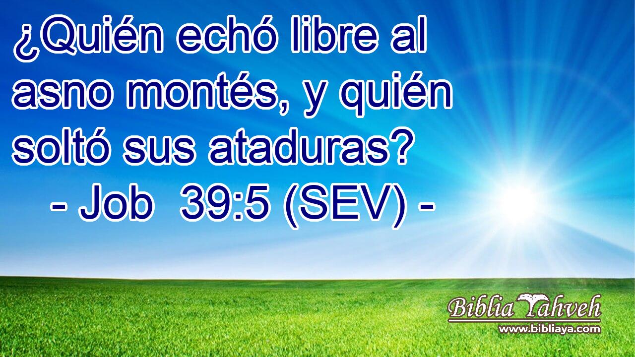 ¿Quién echó libre al asno montés, y quién soltó sus ataduras?