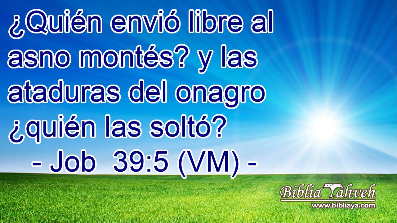  ¿Quién envió libre al asno montés? y las ataduras del onagro ¿quién las soltó? 
