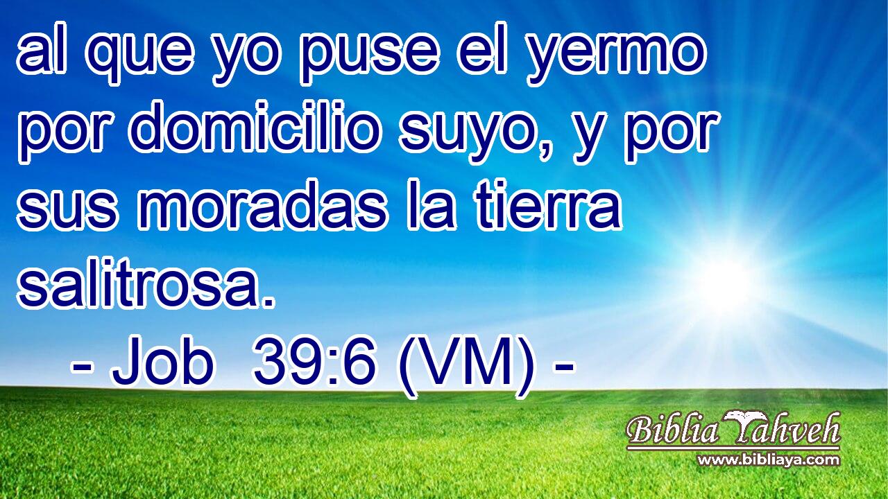  al que yo puse el yermo por domicilio suyo, y por sus moradas la tierra salitrosa. 