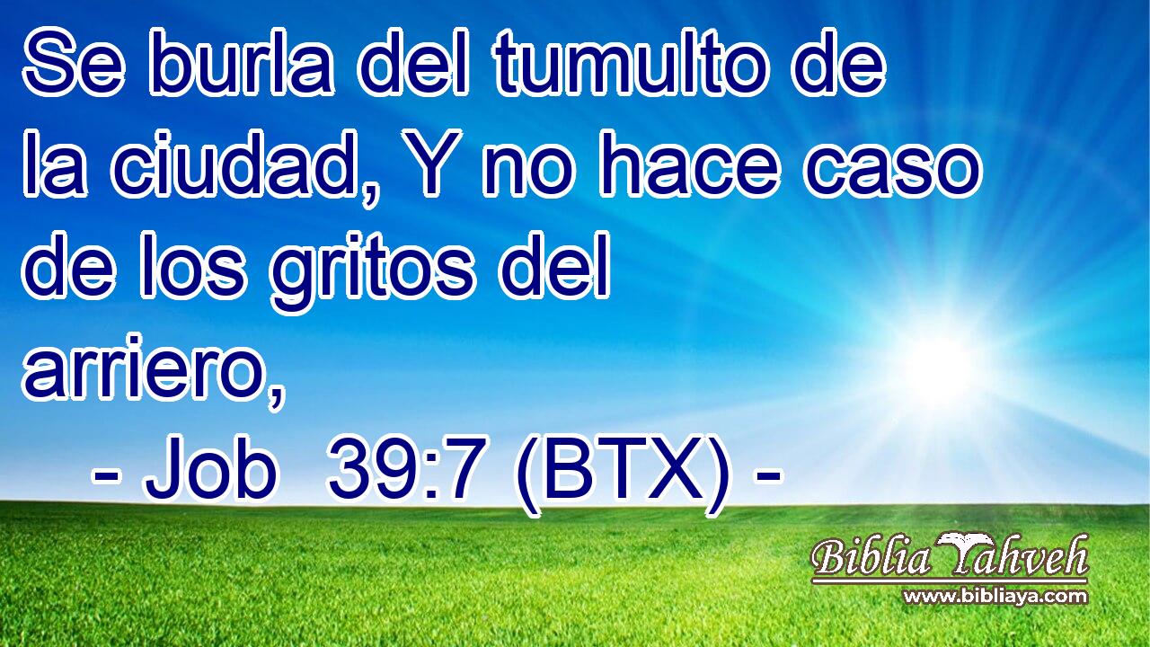 Se burla del tumulto de la ciudad, Y no hace caso de los gritos del arriero,