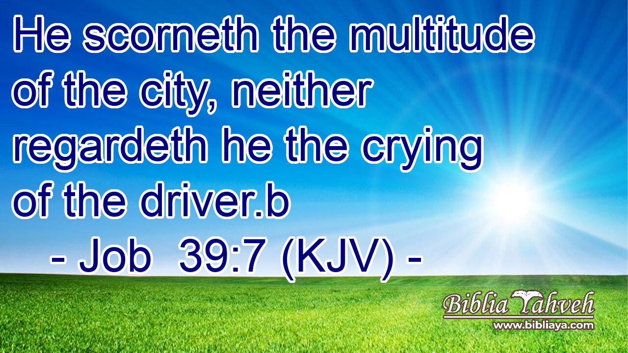 He scorneth the multitude of the city, neither regardeth he the crying of the driver.b