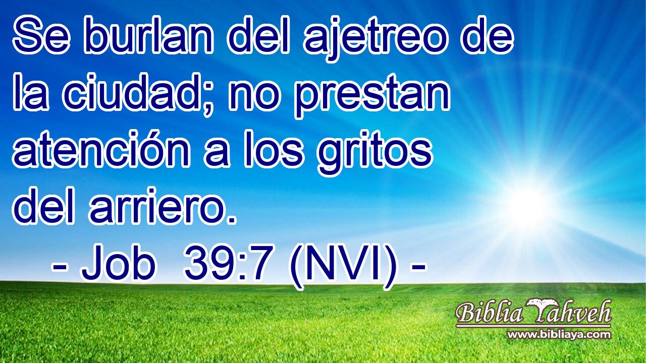  Se burlan del ajetreo de la ciudad; no prestan atención a los gritos del arriero. 