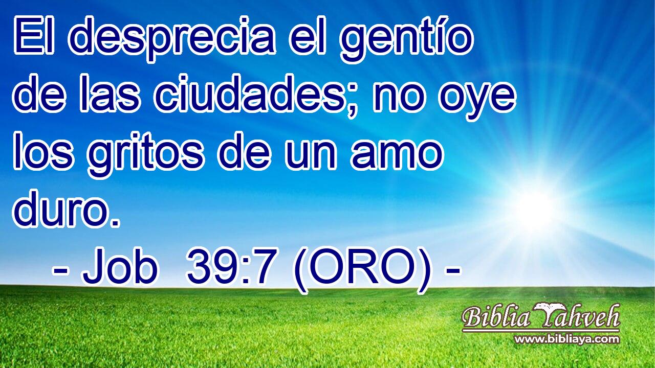  El desprecia el gentío de las ciudades; no oye los gritos de un amo duro. 