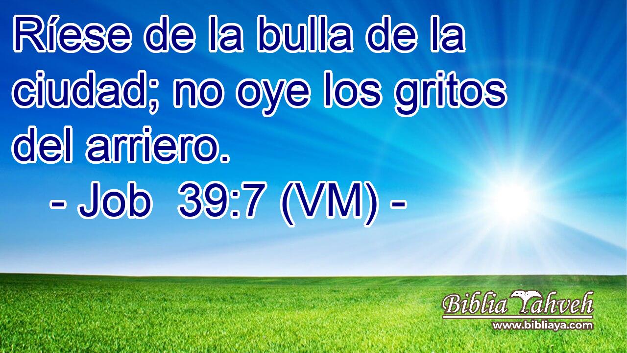  Ríese de la bulla de la ciudad; no oye los gritos del arriero. 