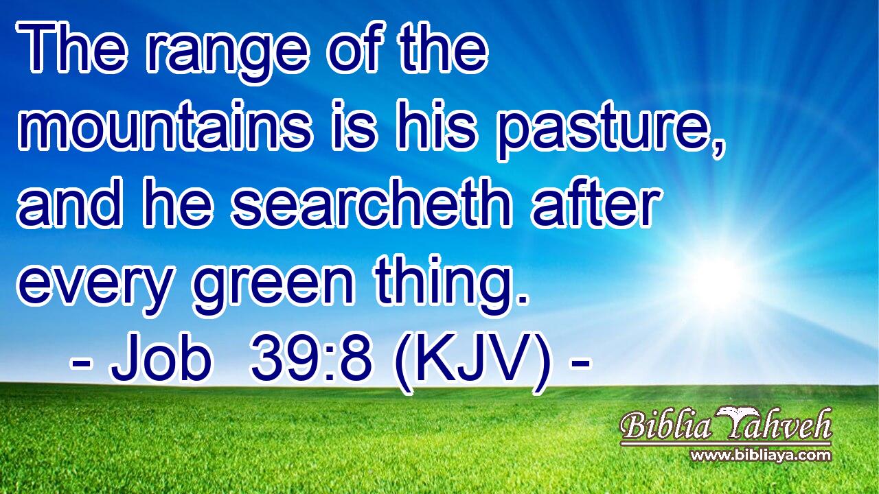 The range of the mountains is his pasture, and he searcheth after every green thing.