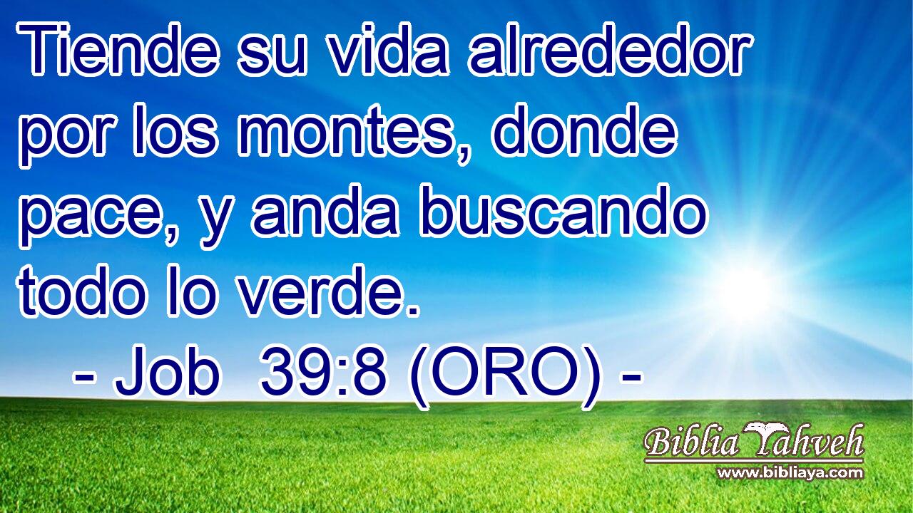  Tiende su vida alrededor por los montes, donde pace, y anda buscando todo lo verde. 