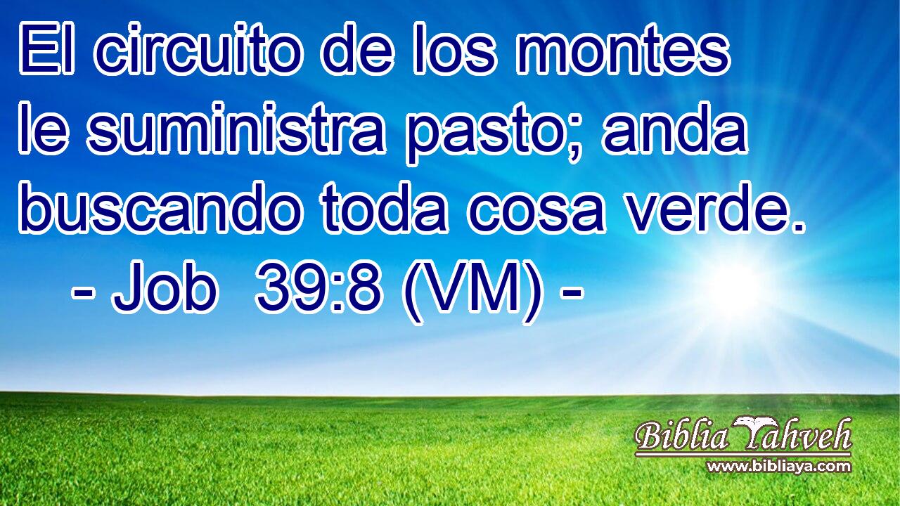  El circuito de los montes le suministra pasto; anda buscando toda cosa verde. 