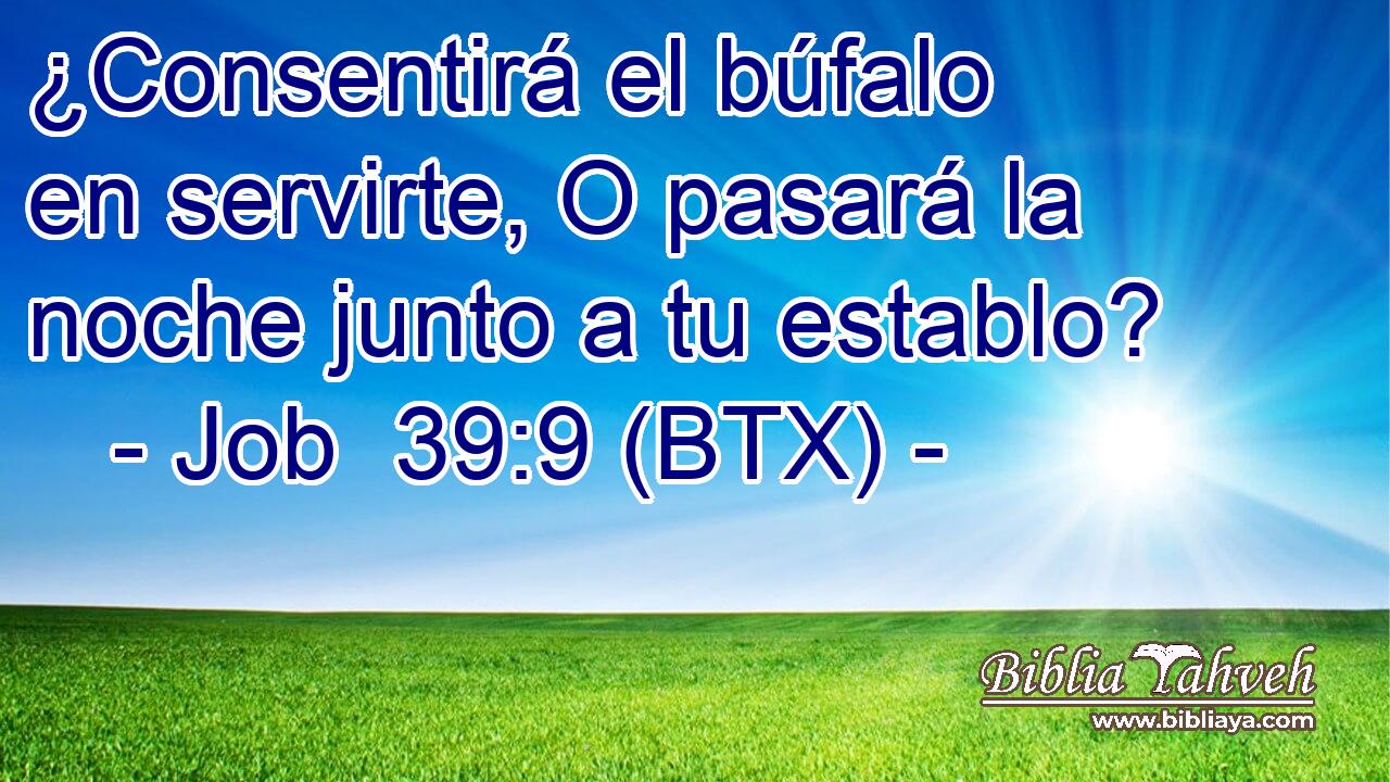 ¿Consentirá el búfalo en servirte, O pasará la noche junto a tu establo?