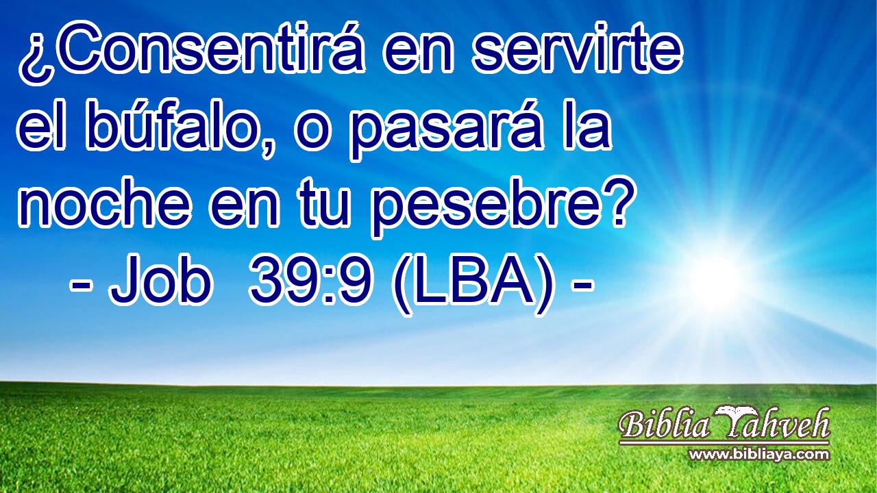 ¿Consentirá en servirte el búfalo, o pasará la noche en tu pesebre?