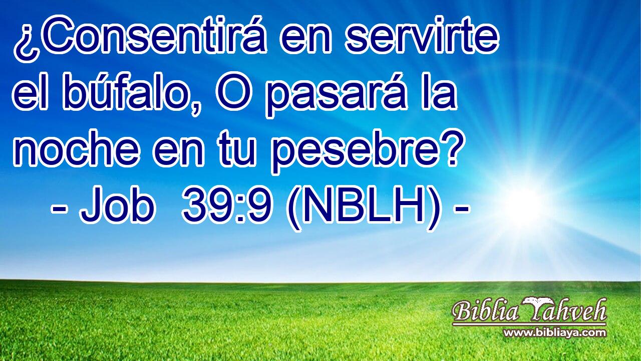  ¿Consentirá en servirte el búfalo, O pasará la noche en tu pesebre? 