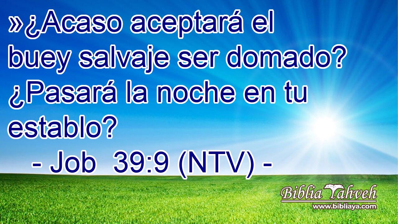 »¿Acaso aceptará el buey salvaje ser domado? ¿Pasará la noche en tu establo?