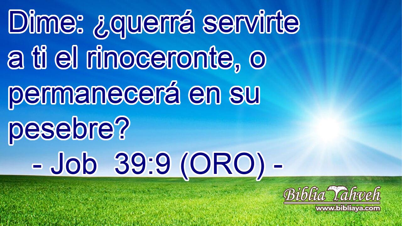  Dime: ¿querrá servirte a ti el rinoceronte, o permanecerá en su pesebre? 
