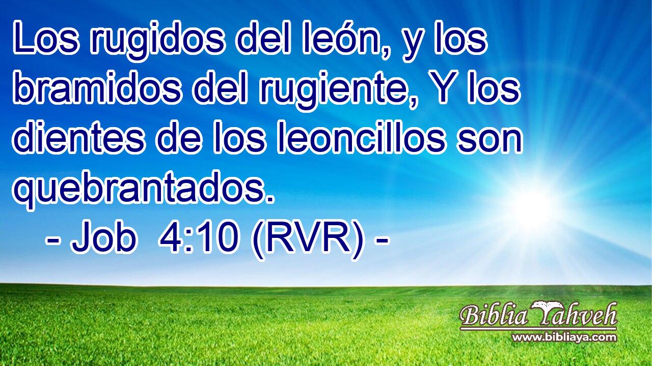 Los rugidos del león, y los bramidos del rugiente, Y los dientes de los leoncillos son quebrantados.