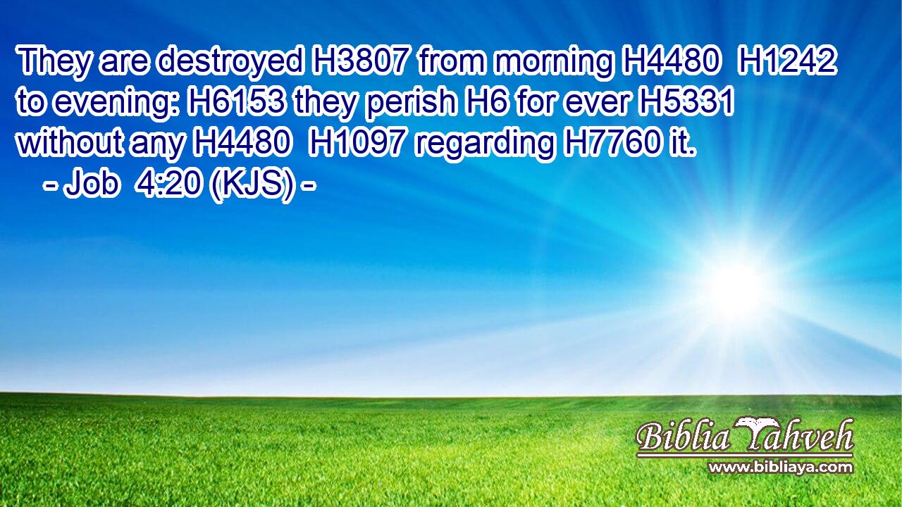 They are destroyed H3807 from morning H4480  H1242 to evening: H6153 they perish H6 for ever H5331 without any H4480  H1097 regarding H7760 it.