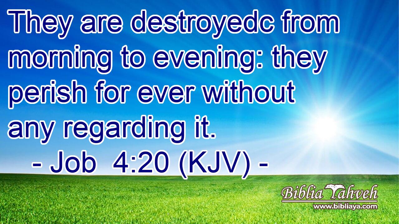 They are destroyedc from morning to evening: they perish for ever without any regarding it.