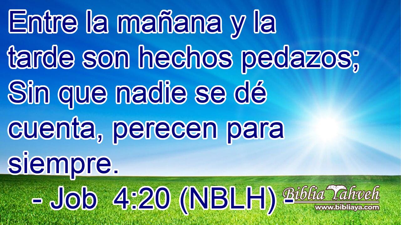  Entre la mañana y la tarde son hechos pedazos; Sin que nadie se dé cuenta, perecen para siempre. 