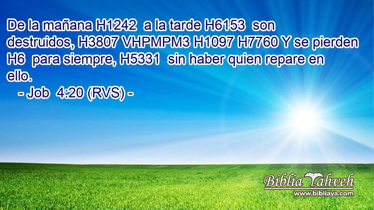 De la mañana H1242  a la tarde H6153  son destruidos, H3807 VHPMPM3 H1097 H7760 Y se pierden H6  para siempre, H5331  sin haber quien repare en ello. 