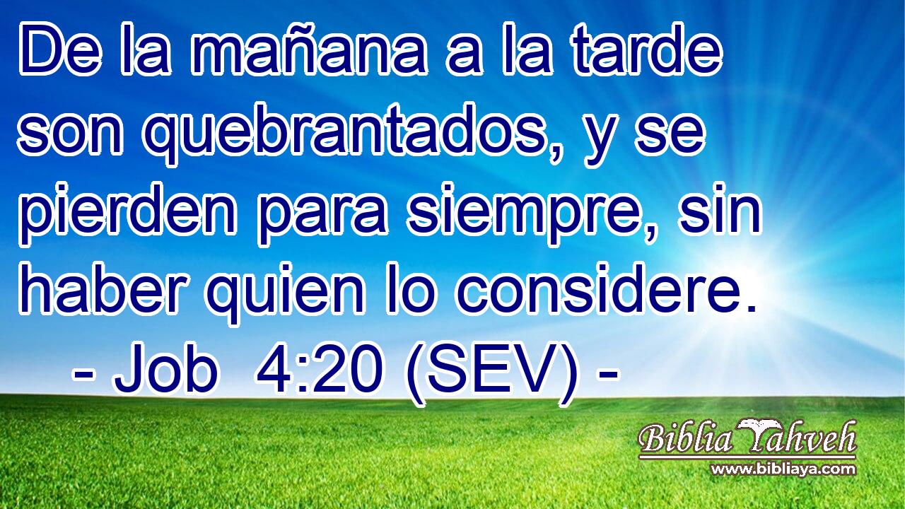De la mañana a la tarde son quebrantados, y se pierden para siempre, sin haber quien lo considere.