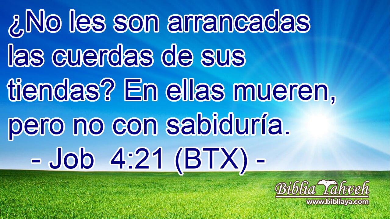 ¿No les son arrancadas las cuerdas de sus tiendas? En ellas mueren, pero no con sabiduría.