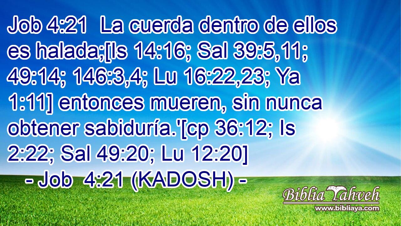  La cuerda dentro de ellos es halada;[Is 14:16; Sal 39:5,11; 49:14; 146:3,4; Lu 16:22,23; Ya 1:11] entonces mueren, sin nunca obtener sabiduría.'[cp 36:12; Is 2:22; Sal 49:20; Lu 12:20] 
