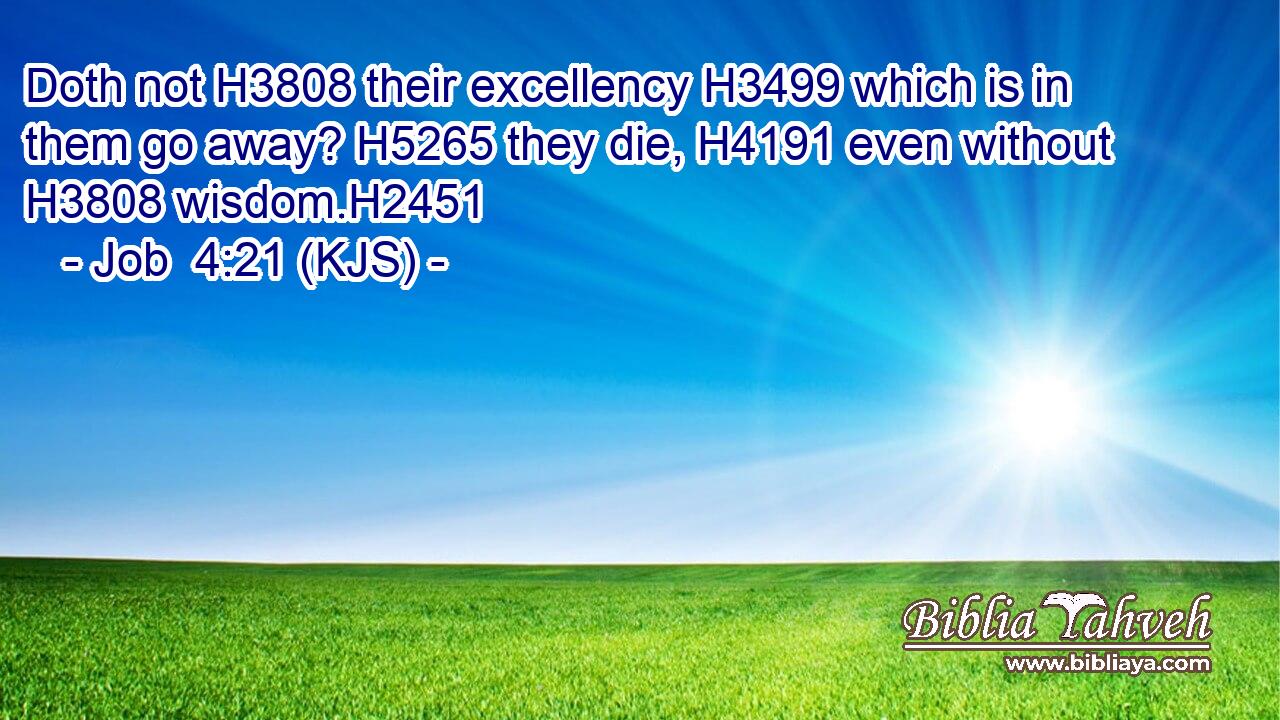 Doth not H3808 their excellency H3499 which is in them go away? H5265 they die, H4191 even without H3808 wisdom.H2451