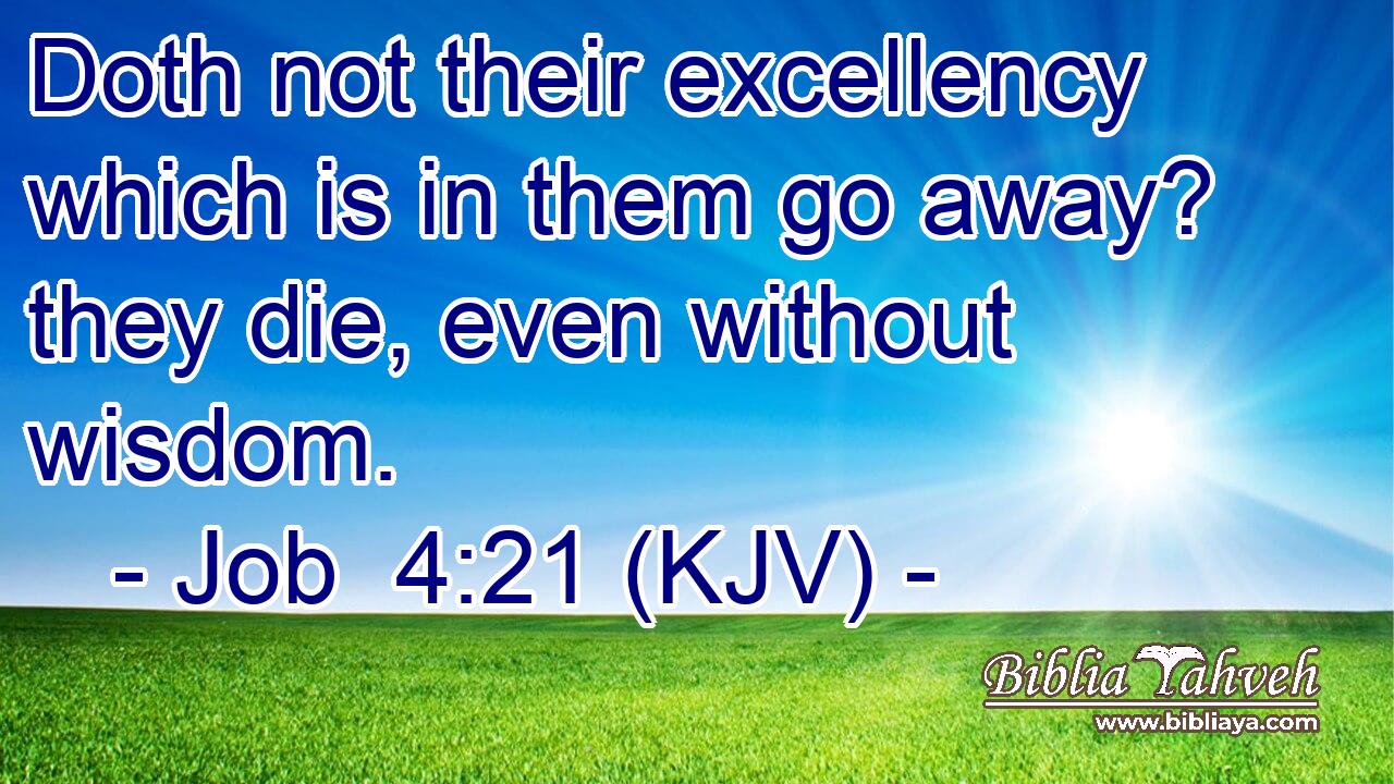 Doth not their excellency which is in them go away? they die, even without wisdom.