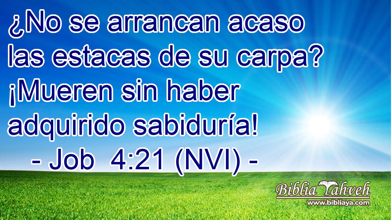  ¿No se arrancan acaso las estacas de su carpa? ¡Mueren sin haber adquirido sabiduría! 