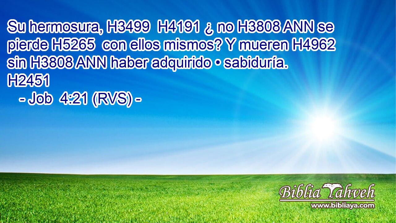 Su hermosura, H3499  H4191 ¿ no H3808 ANN se pierde H5265  con ellos mismos? Y mueren H4962  sin H3808 ANN haber adquirido • sabiduría. H2451  