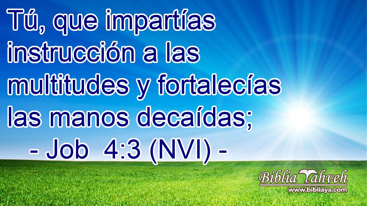  Tú, que impartías instrucción a las multitudes y fortalecías las manos decaídas; 