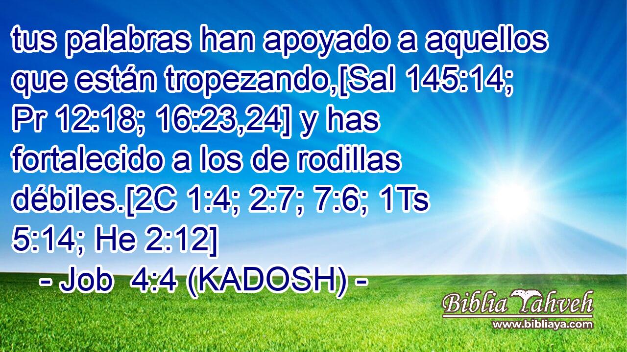  tus palabras han apoyado a aquellos que están tropezando,[Sal 145:14; Pr 12:18; 16:23,24] y has fortalecido a los de rodillas débiles.[2C 1:4; 2:7; 7:6; 1Ts 5:14; He 2:12] 